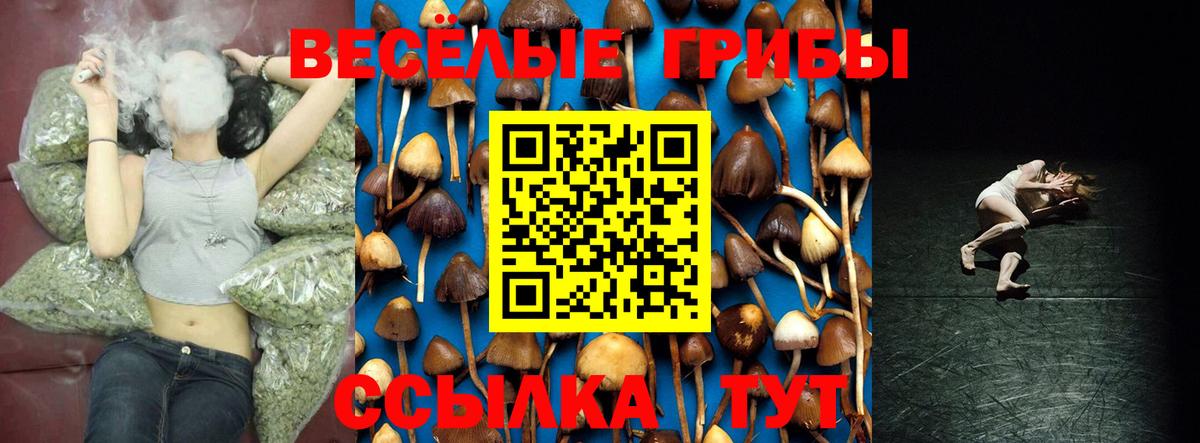 Галлюциногенные грибы MAGIC MUSHROOMS  Вход с VPN  Боровичи 